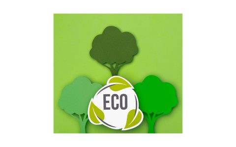 Karbon Ayak İzi Hesaplama