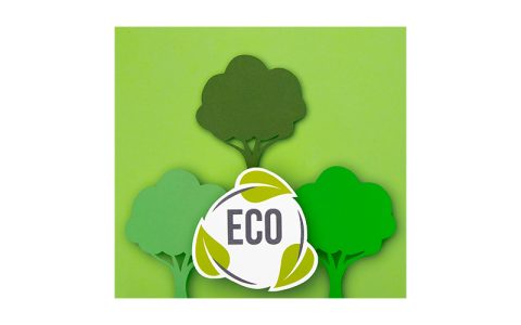 Kurumsal Karbon Ayak İzi Yönetiminin Önemi ve Çözümleri